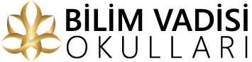 Bilim Vadisi Okulları